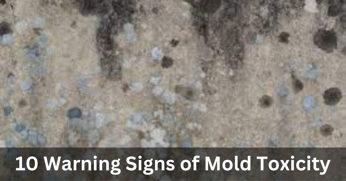 10 Warning Signs of Mold Toxicity