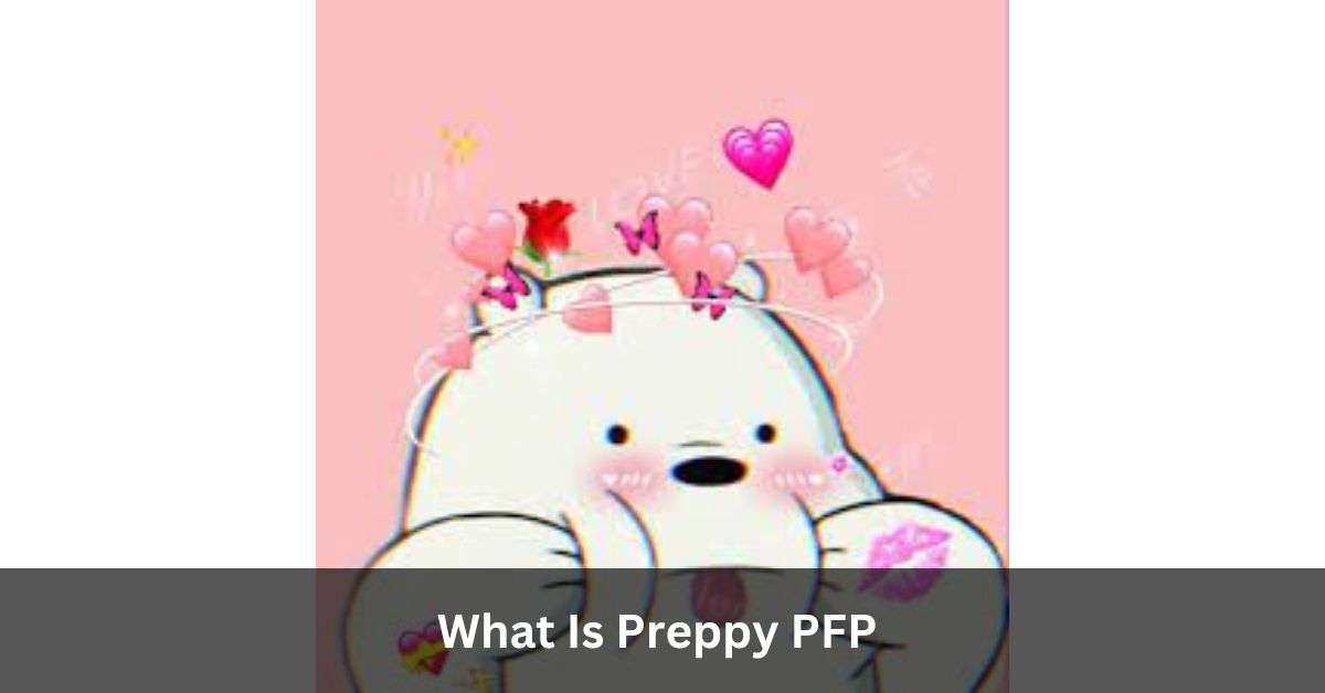 What Is Preppy PFP