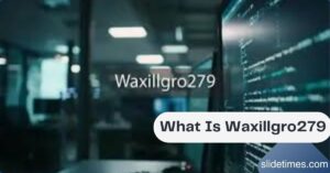 What Is Waxillgro279